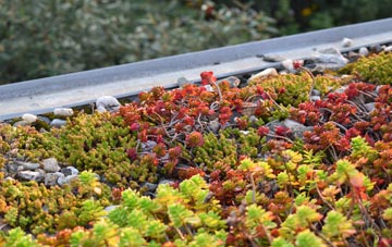 the cost of Gosforth Valley green roof installation