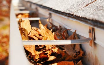 Gosforth Valley gutter cleaning companies