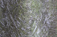 Gosforth Valley fibreglass roof work